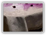 P1010160
